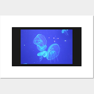 Jellyfish Blue 1 Posters and Art